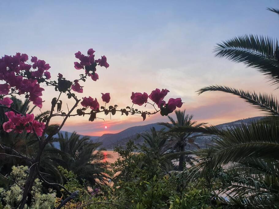 Cactus Garden Kalkan - Club Patara Villas Zewnętrze zdjęcie